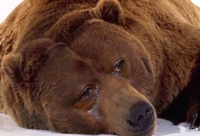 7E32CD2B-17BE-4E12-9F63-F56E73B9DA7A